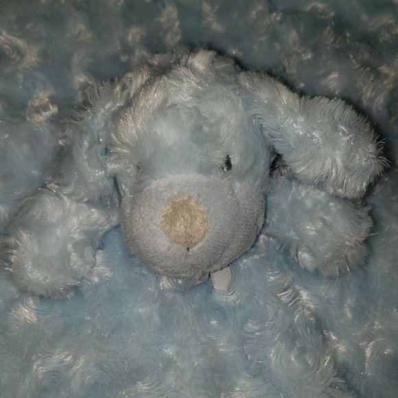 Blankets and Beyond Toys Blankets Beyond Blue Swirl Puppy Baby